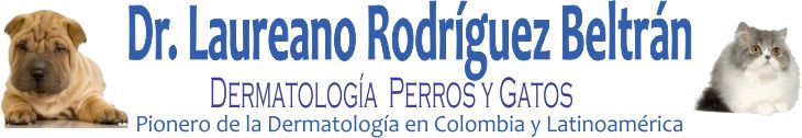 Dermatología Veterinaria para perros y Gatos